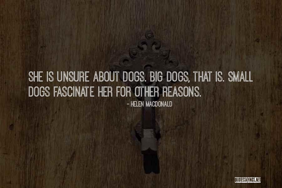 Aristotelism Quotes By Helen Macdonald Aristotelism Quotes By Helen Macdonald
