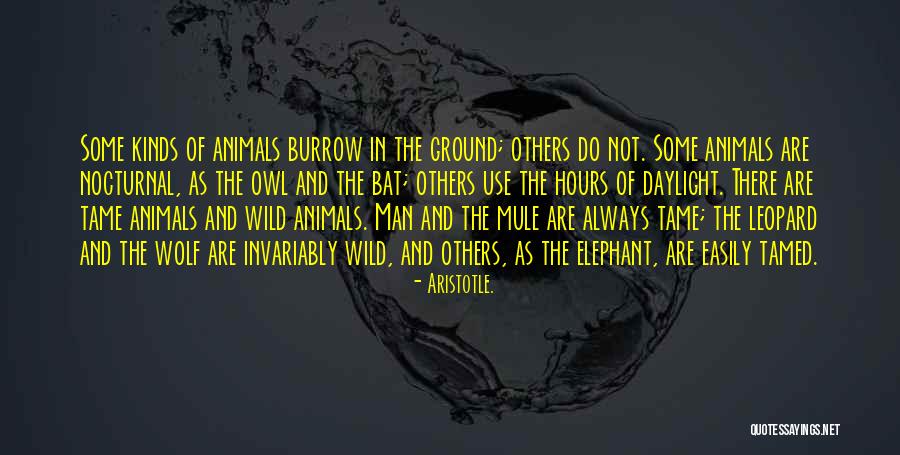 Aristotle. Quotes 1310869 Aristotle. Quotes 1310869
