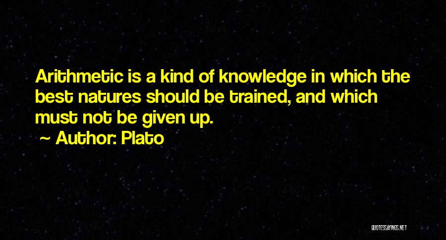 Arithmetic Quotes By Plato