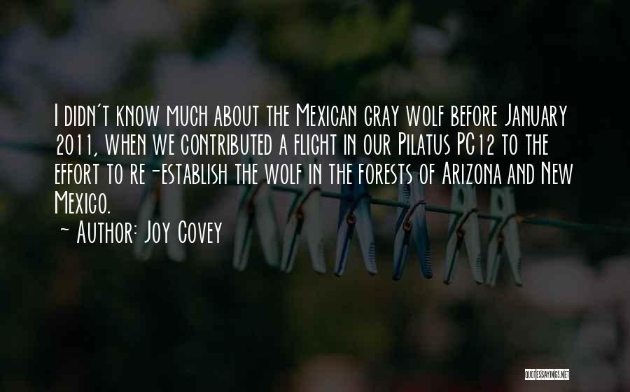 Arizona Quotes By Joy Covey