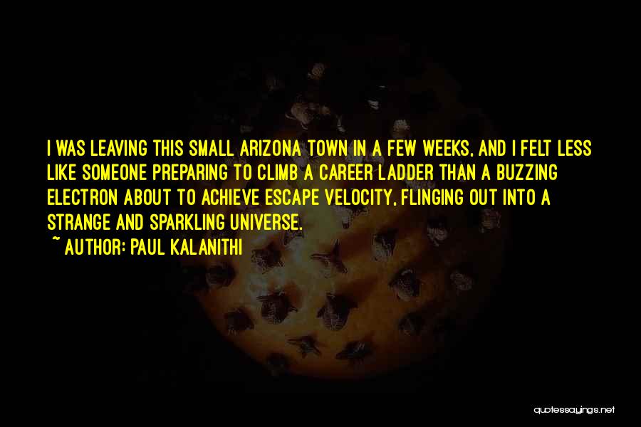 Arizona Quotes By Paul Kalanithi