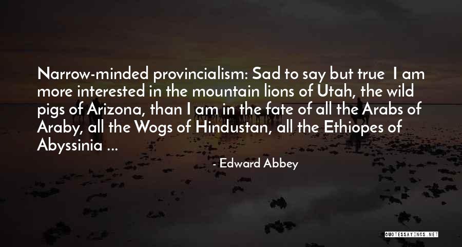 Arizona What Is Going Quotes By Edward Abbey Arizona What Is Going Quotes By Edward Abbey