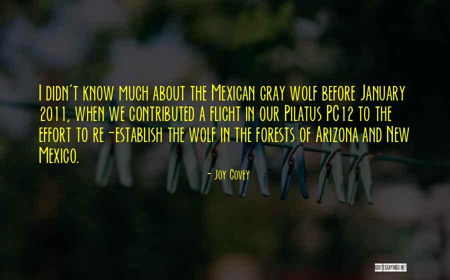 Arizona What Is Going Quotes By Joy Covey Arizona What Is Going Quotes By Joy Covey
