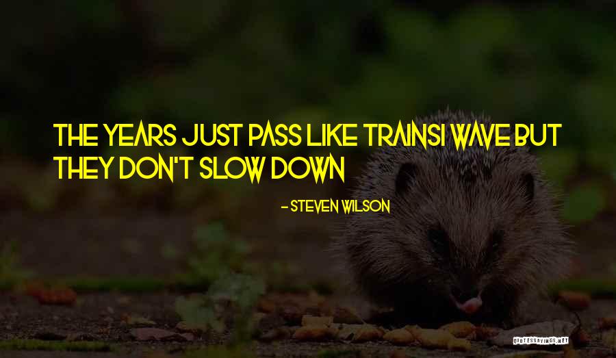 Arjin Ari Quotes By Steven Wilson Arjin Ari Quotes By Steven Wilson