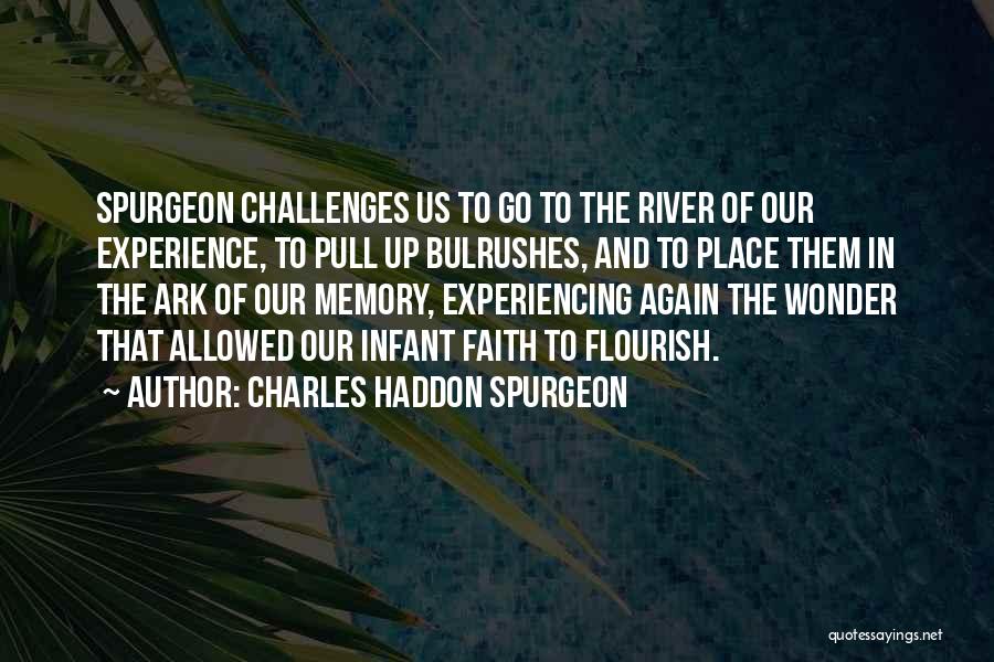 Ark Quotes By Charles Haddon Spurgeon