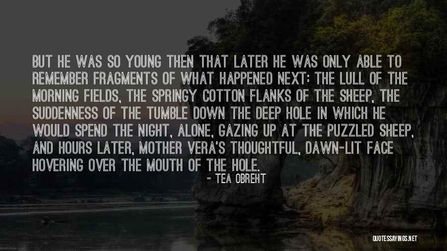 Arkane Shake Quotes By Tea Obreht Arkane Shake Quotes By Tea Obreht