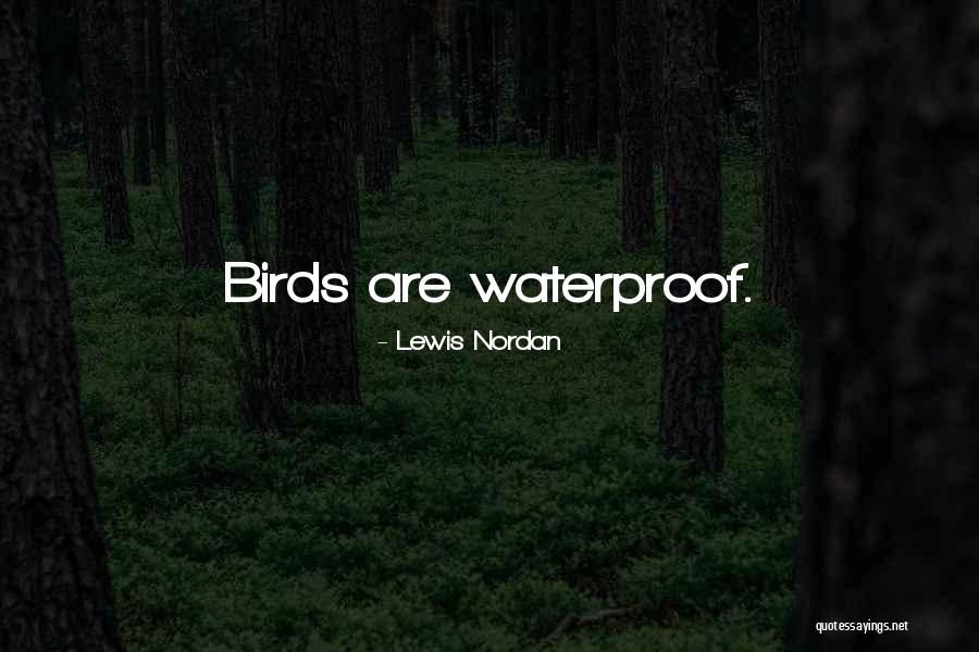 Arkush Elizabeth Quotes By Lewis Nordan Arkush Elizabeth Quotes By Lewis Nordan