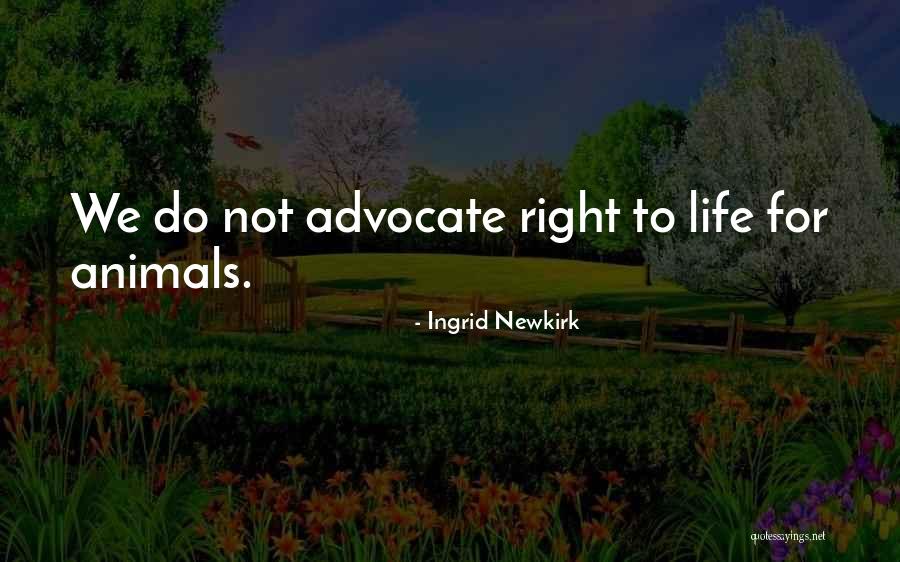 Arleigh International Quotes By Ingrid Newkirk Arleigh International Quotes By Ingrid Newkirk