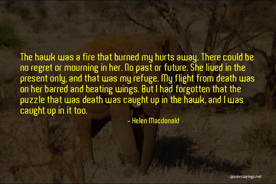 Arles Amphitheatre Quotes By Helen Macdonald Arles Amphitheatre Quotes By Helen Macdonald