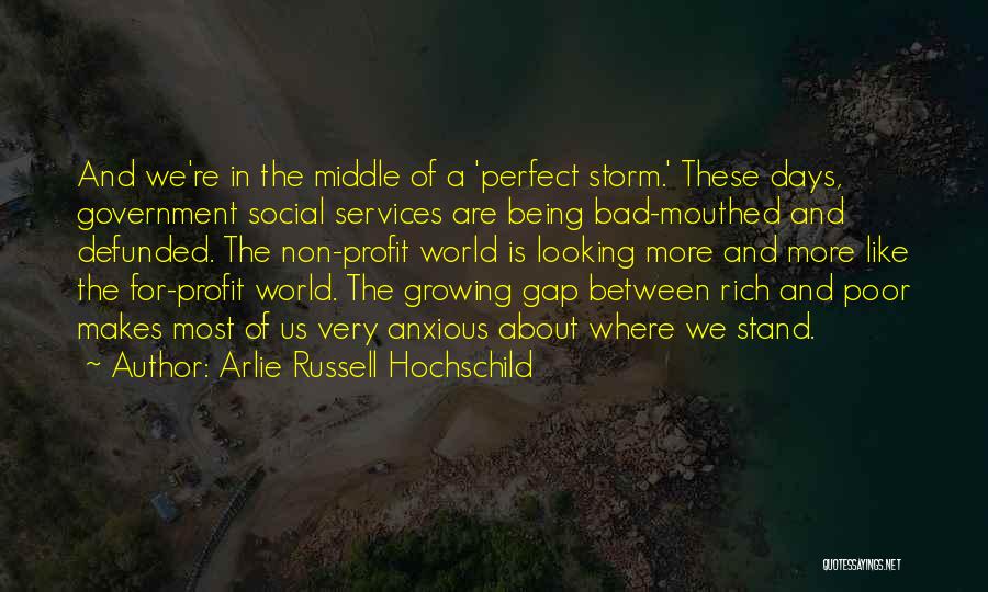 Arlie Russell Hochschild Quotes 1431027