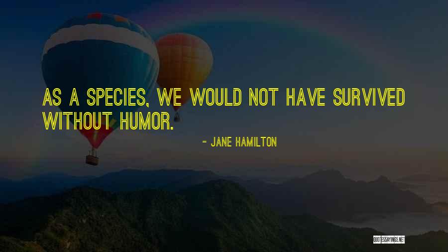 Arlina Permanasari Quotes By Jane Hamilton Arlina Permanasari Quotes By Jane Hamilton