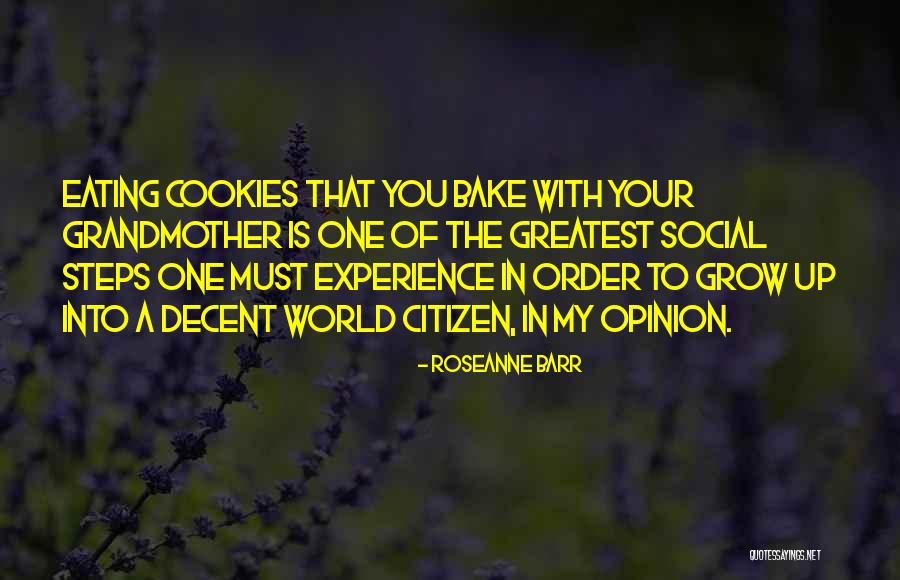 Arlynns Country Quotes By Roseanne Barr Arlynns Country Quotes By Roseanne Barr