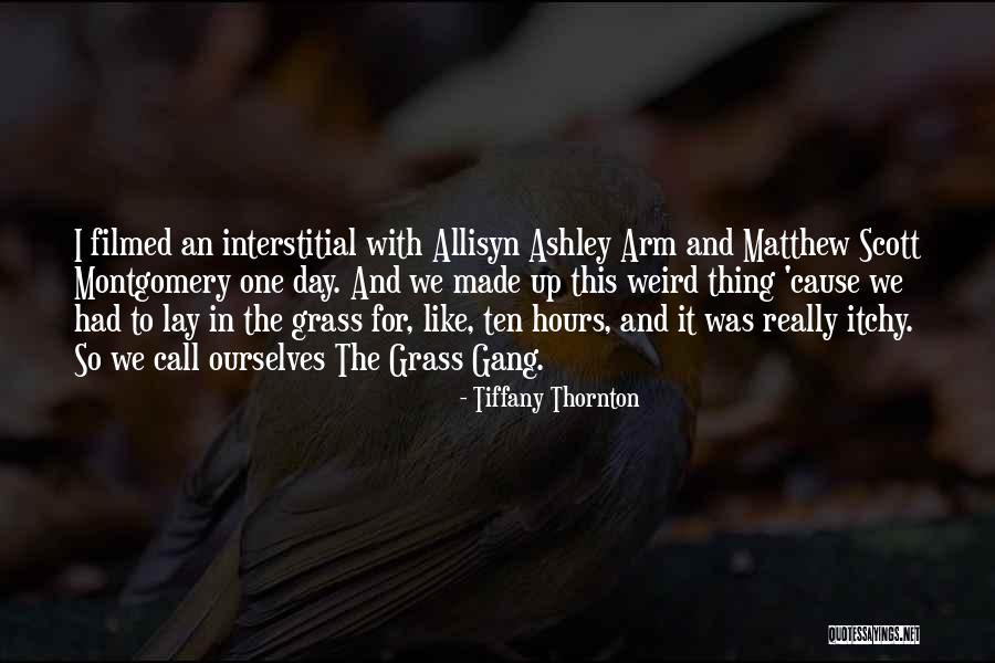 Arm Day Quotes By Tiffany Thornton Arm Day Quotes By Tiffany Thornton