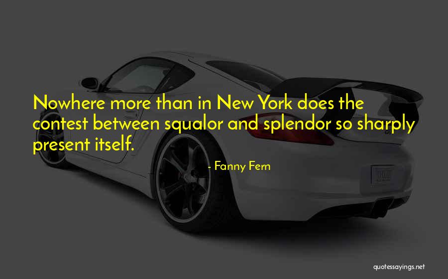 Armadilhas Vespa Quotes By Fanny Fern Armadilhas Vespa Quotes By Fanny Fern
