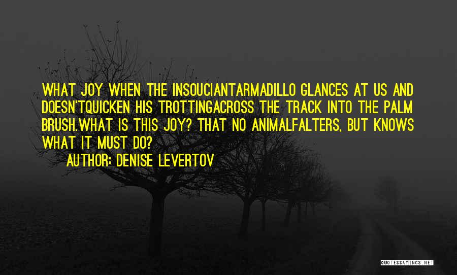 Armadillo Quotes By Denise Levertov