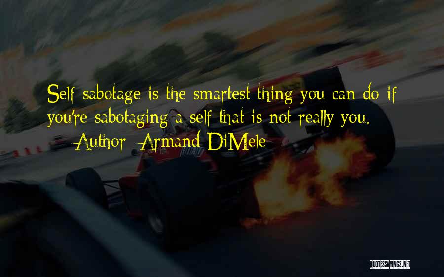 Armand DiMele Quotes 987794