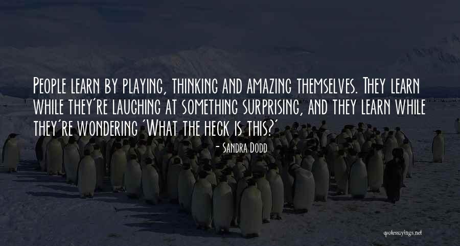 Armasta 2019 Quotes By Sandra Dodd Armasta 2019 Quotes By Sandra Dodd