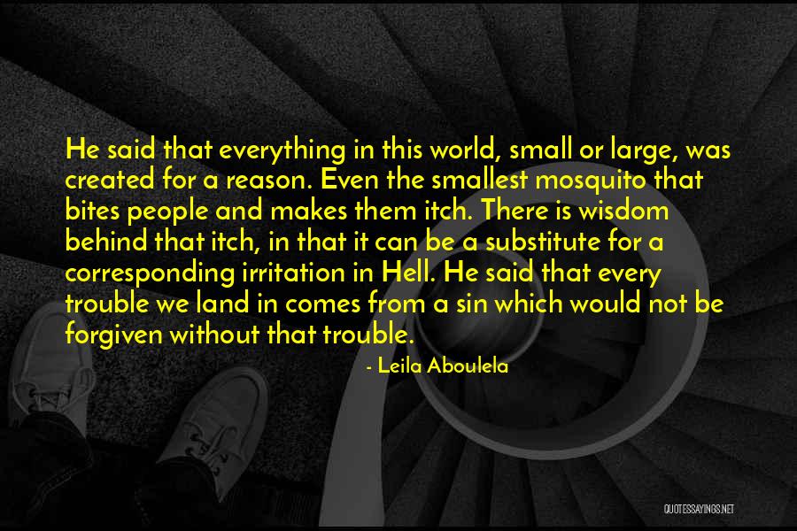 Armature Rewinding Quotes By Leila Aboulela Armature Rewinding Quotes By Leila Aboulela