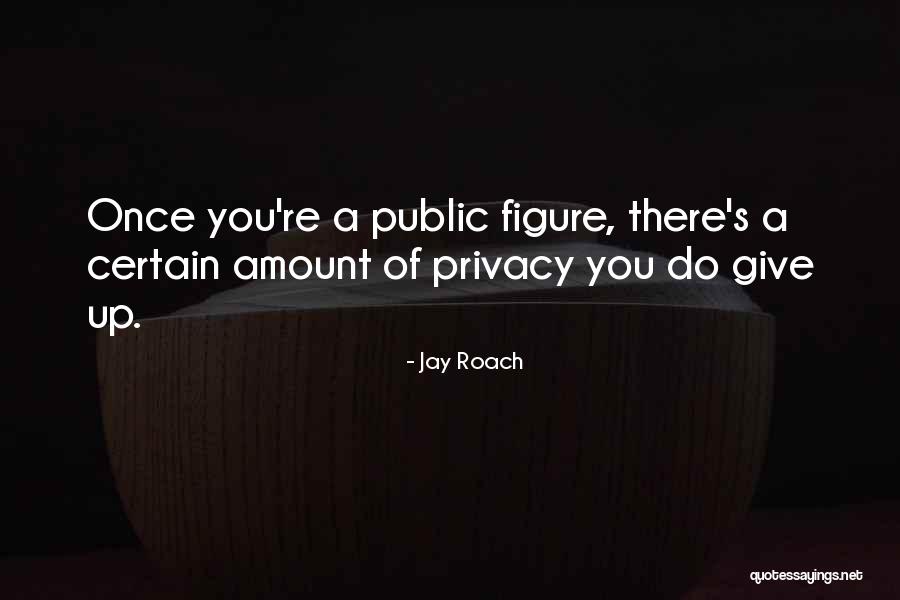 Armchair Warriors Quotes By Jay Roach Armchair Warriors Quotes By Jay Roach