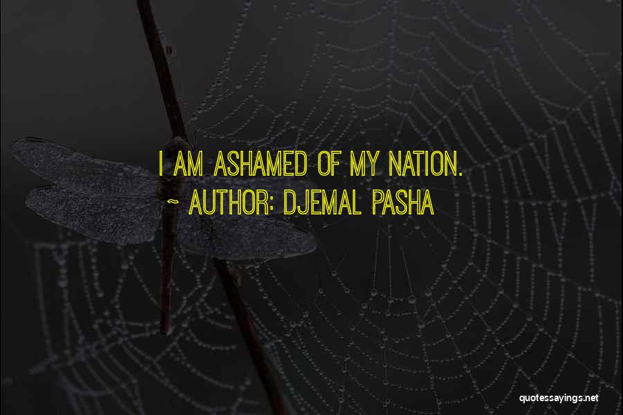 Armenian Quotes By Djemal Pasha