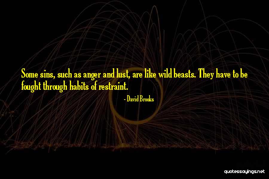 Armesto Asociados Quotes By David Brooks Armesto Asociados Quotes By David Brooks