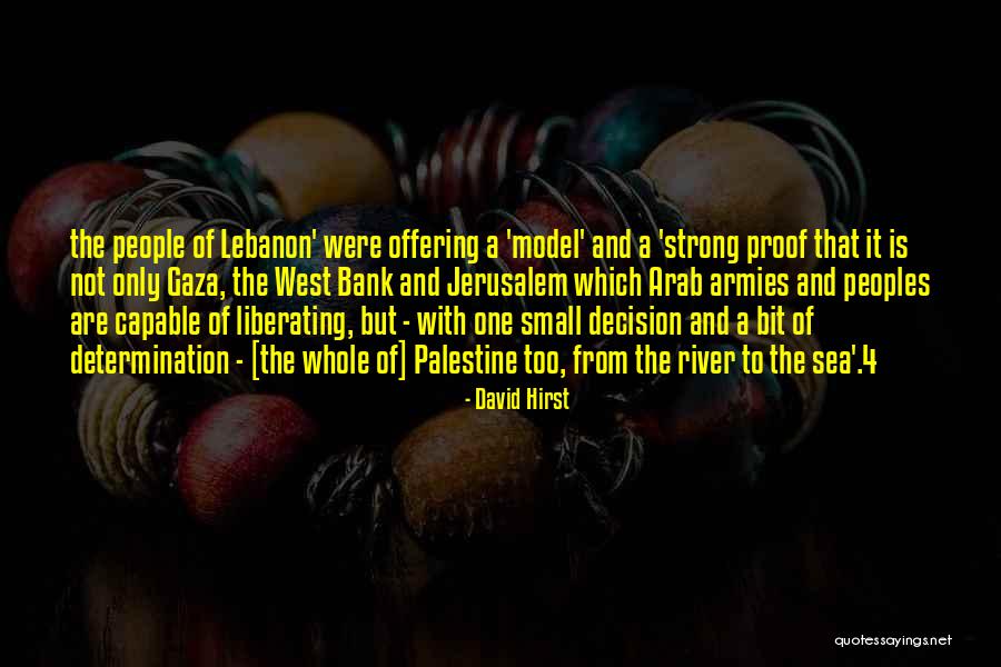 Armies Quotes By David Hirst