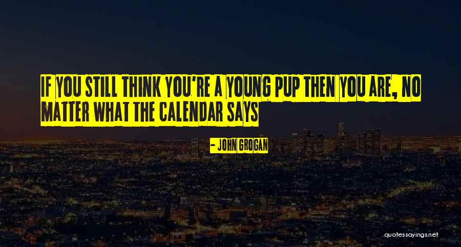 Armindo Barros Quotes By John Grogan Armindo Barros Quotes By John Grogan