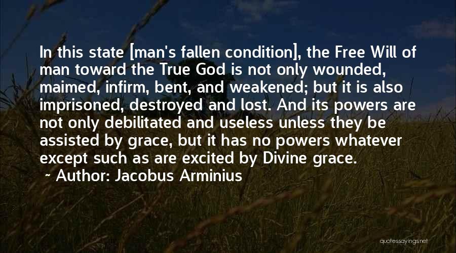 Arminius Quotes By Jacobus Arminius