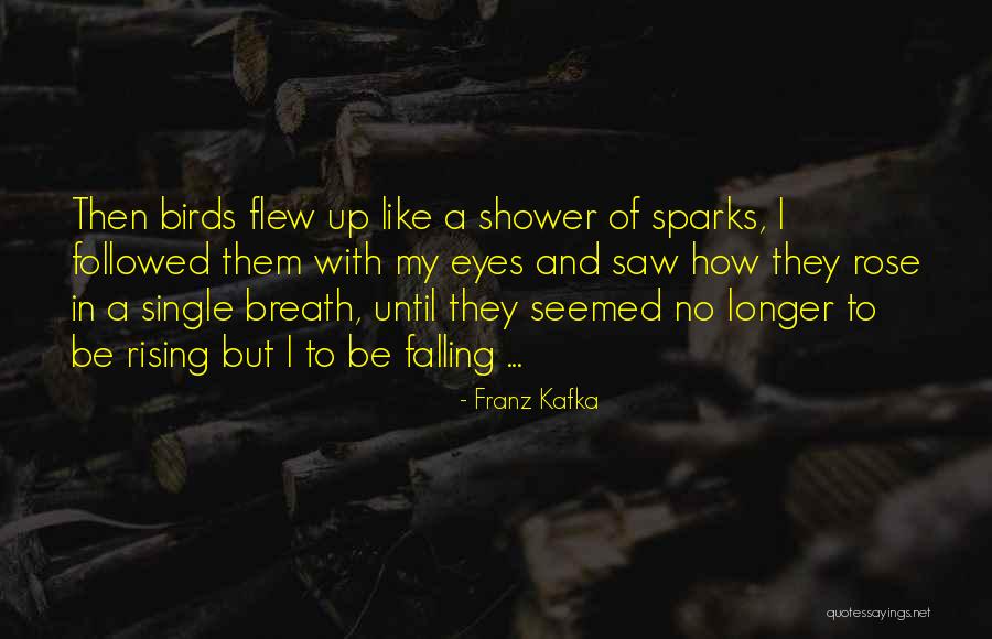 Armor All Disinfectant Quotes By Franz Kafka Armor All Disinfectant Quotes By Franz Kafka