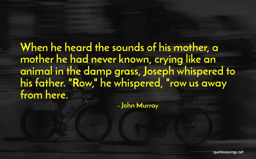 Armor Gel Ingredients Quotes By John Murray Armor Gel Ingredients Quotes By John Murray