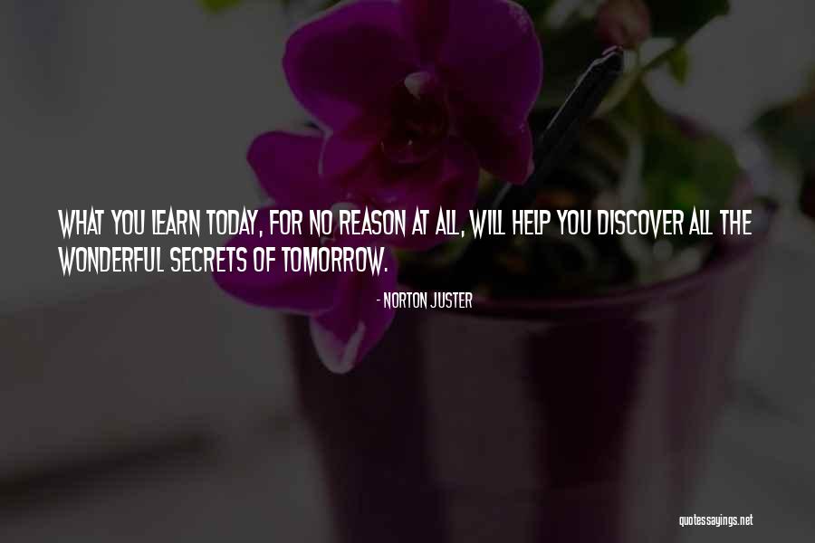 Armorer Minecraft Quotes By Norton Juster Armorer Minecraft Quotes By Norton Juster