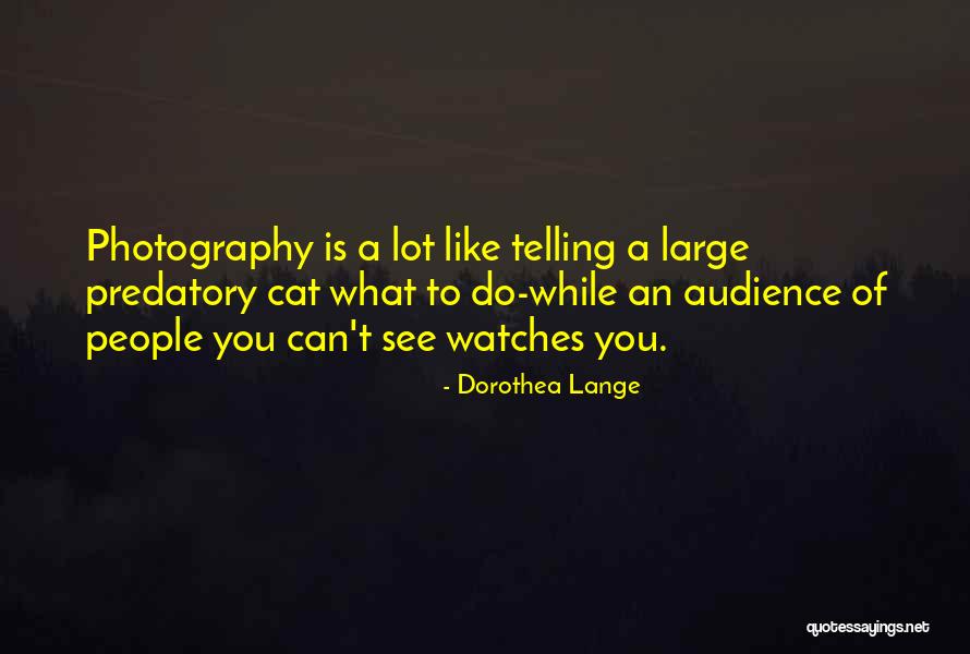 Armourer Villager Quotes By Dorothea Lange Armourer Villager Quotes By Dorothea Lange