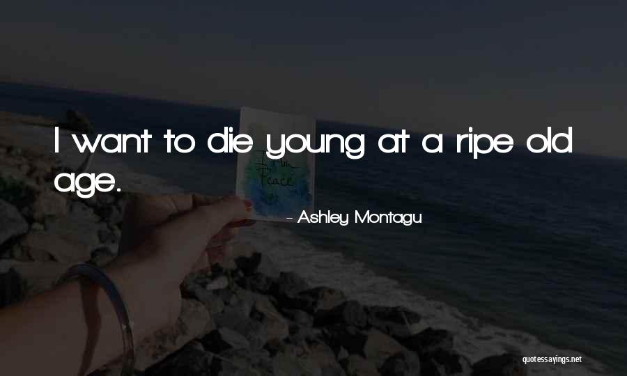 Armpit Rash Quotes By Ashley Montagu Armpit Rash Quotes By Ashley Montagu
