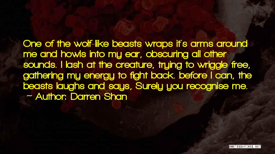 Arms Around Me Quotes By Darren Shan