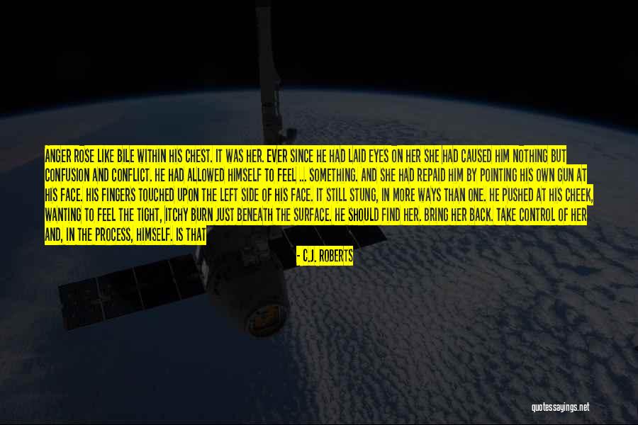 Arms Control Quotes By C.J. Roberts Arms Control Quotes By C.J. Roberts