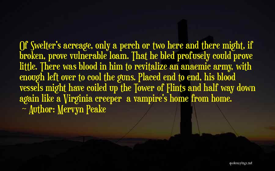 Army Of Two Quotes By Mervyn Peake