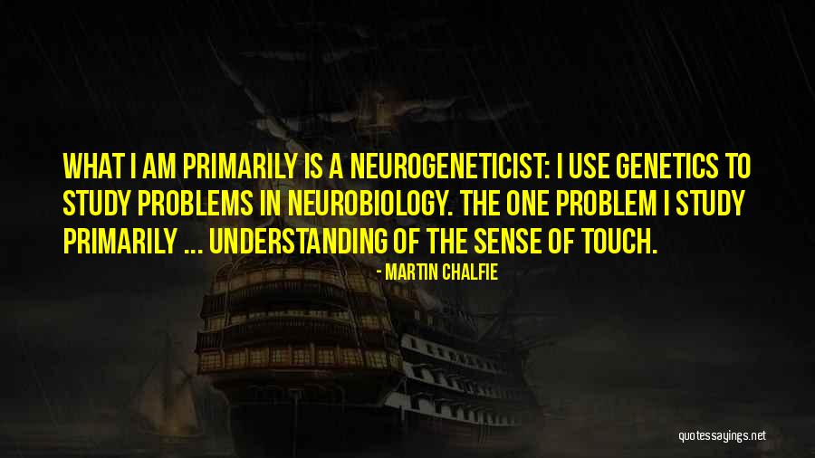 Arnall Foundation Quotes By Martin Chalfie Arnall Foundation Quotes By Martin Chalfie