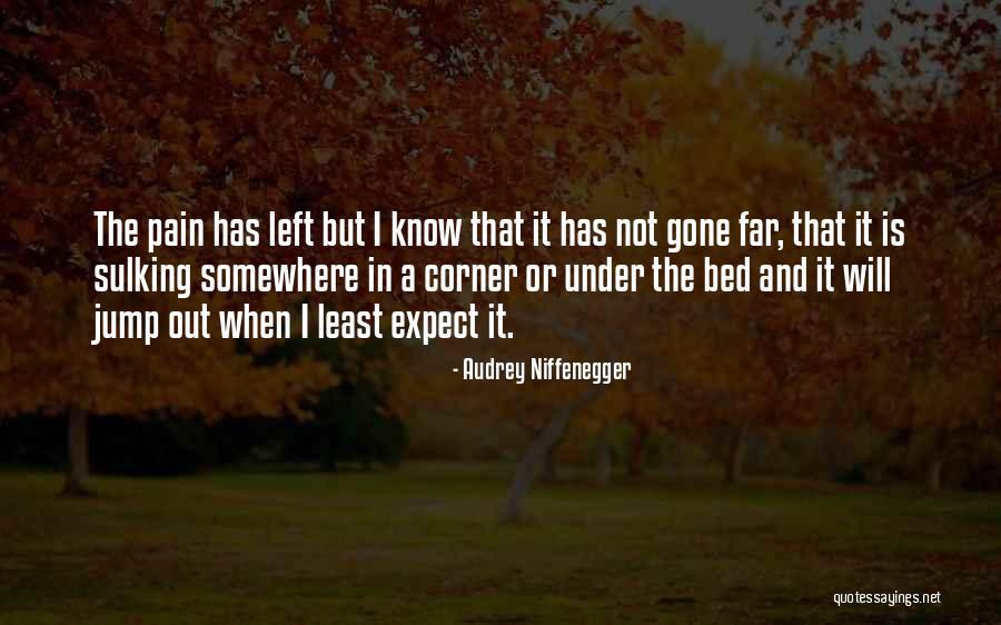 Arnesens Rocky Quotes By Audrey Niffenegger Arnesens Rocky Quotes By Audrey Niffenegger