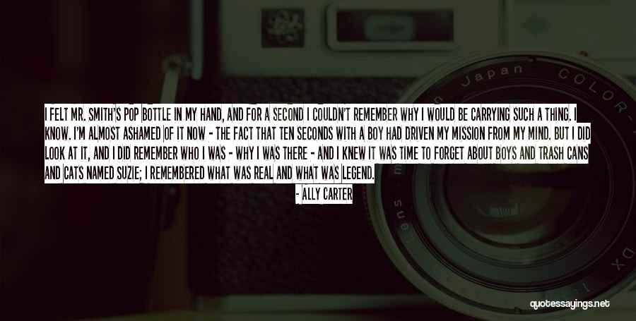 Arnhem Font Quotes By Ally Carter Arnhem Font Quotes By Ally Carter
