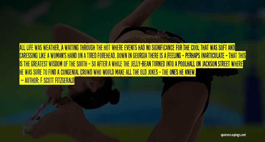 Arnim Zola Quotes By F Scott Fitzgerald