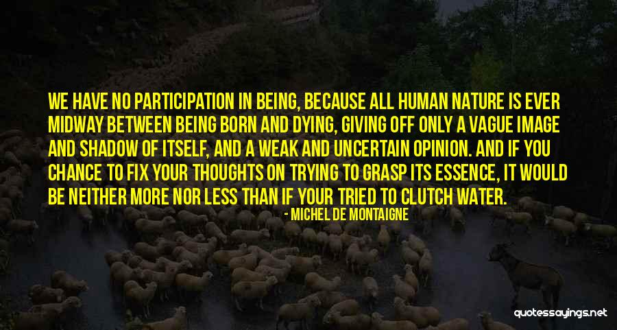 Arnimax Quotes By Michel De Montaigne Arnimax Quotes By Michel De Montaigne