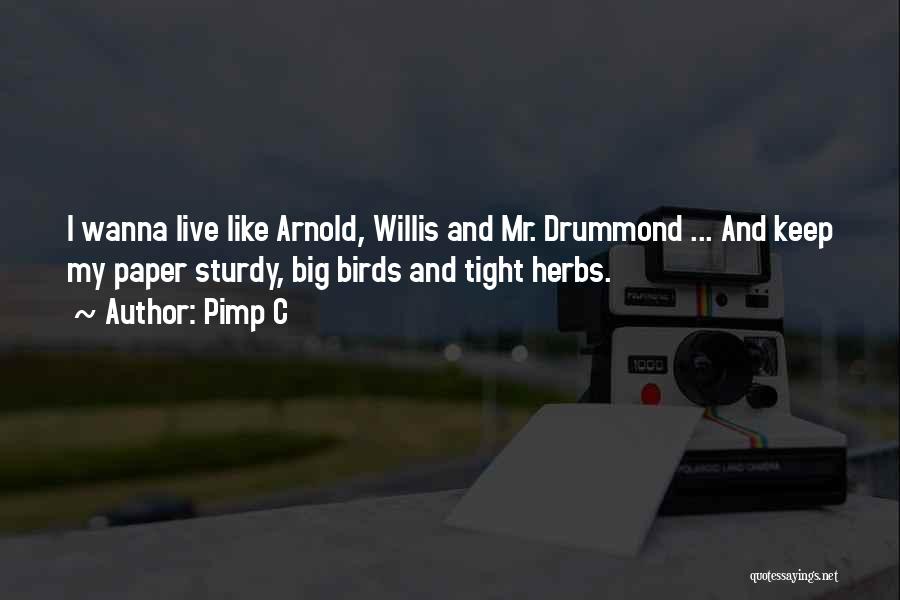 Arnold Drummond Quotes By Pimp C