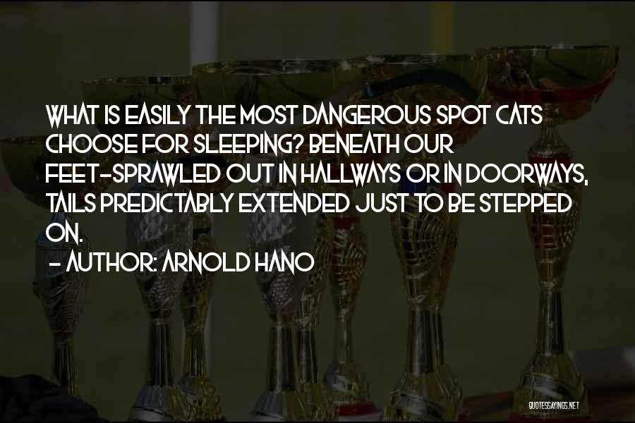 Arnold Hano Quotes 461336