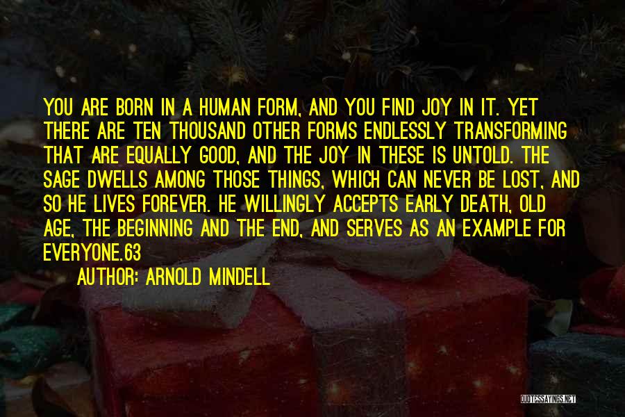 Arnold Mindell Quotes 1213704