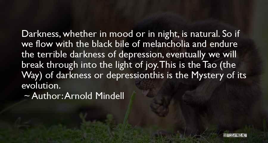 Arnold Mindell Quotes 2195679