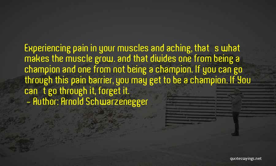 Arnold Schwarzenegger Bodybuilding Quotes By Arnold Schwarzenegger