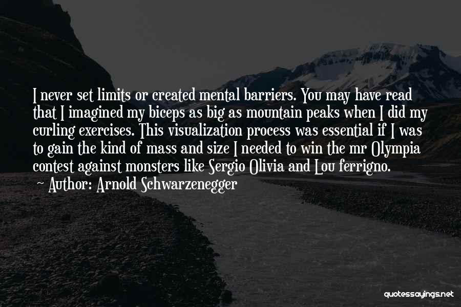 Arnold Schwarzenegger Bodybuilding Quotes By Arnold Schwarzenegger