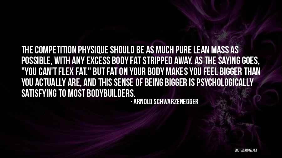 Arnold Schwarzenegger Quotes 1312222