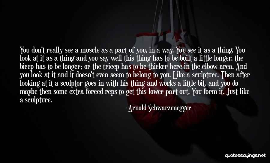 Arnold Schwarzenegger Quotes 385312 Arnold Schwarzenegger Quotes 385312