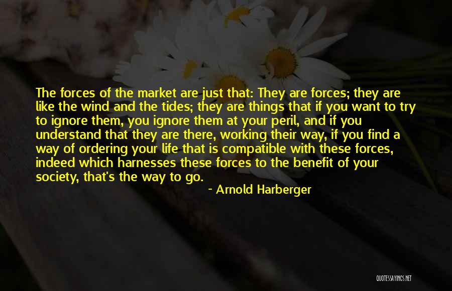 Arnold's Quotes By Arnold Harberger